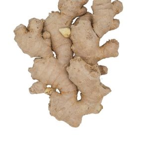 Ginger