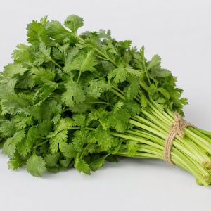Coriander