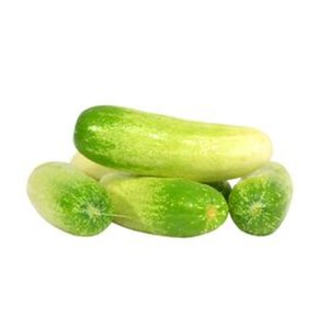 Cucumber