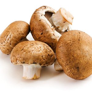 Mushroom