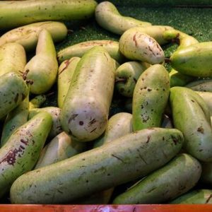 Bottle Gourd