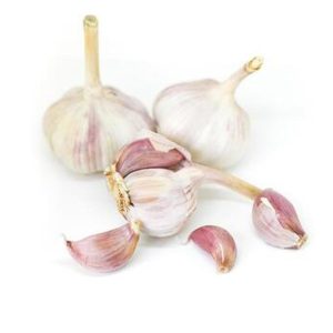 Garlic