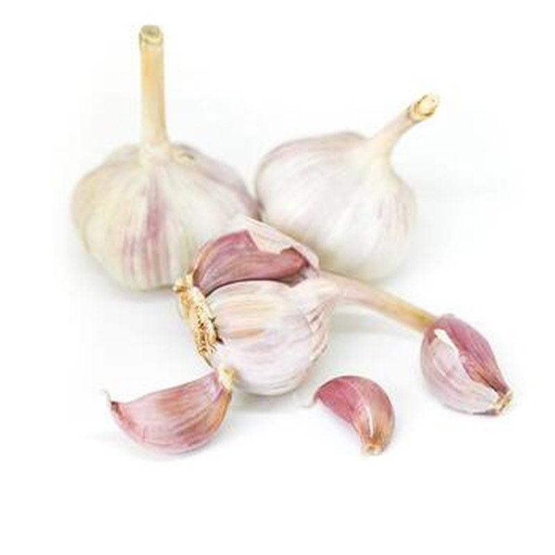 Garlic