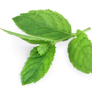 Mint