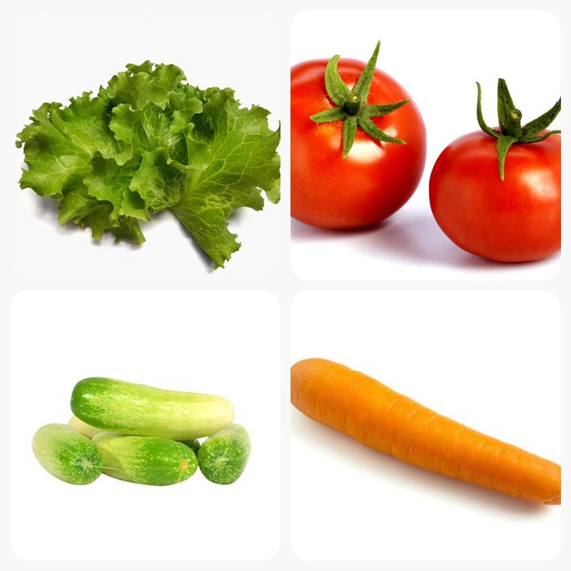 Salad Special Box