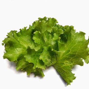Lettuce