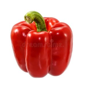 Capsicum